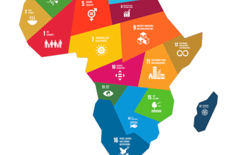 Transformational Leadership Capacities in Africa’s Public Sector Institutions to Implement the 2030 Agenda and Achieve the SDGs