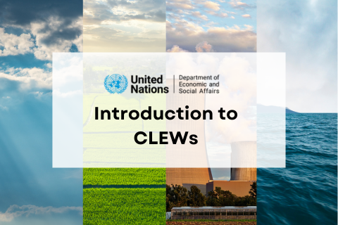 Introduction to CLEWs